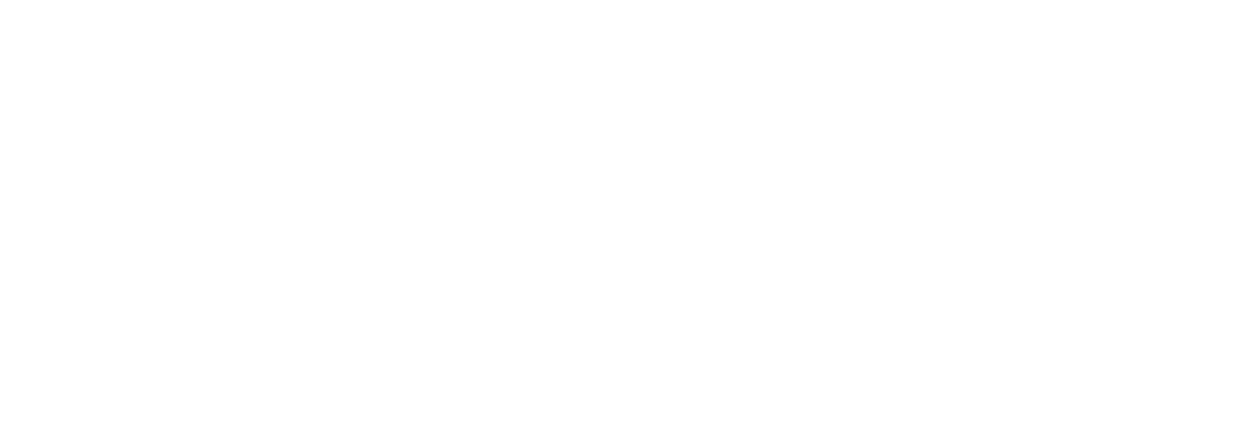 El Ejecutivo